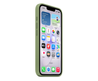 APPLE Silikonowe etui do iPhone 17e MagSafe jasny mech - 1506118 - zdjęcie 4